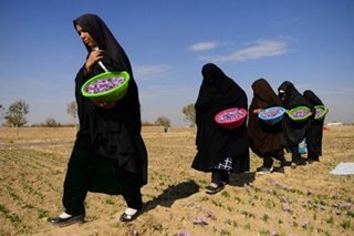 Afghan saffron boss says Taliban will not silence her