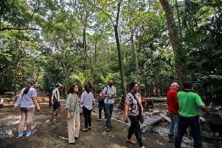 Advocates want new plan to rehabilitate Arroceros Forest Park