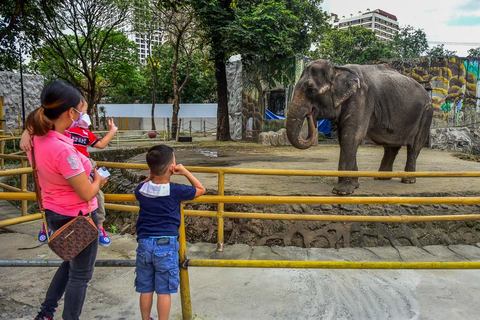 Manila Zoo AFP