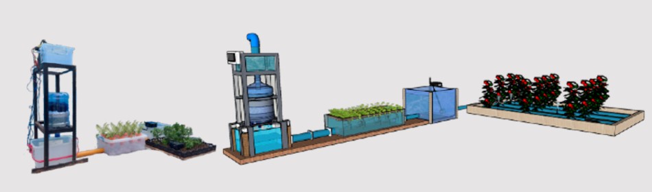 DANUM is a wastewater treatment apparatus that works to help improve the traditional crop watering system and make it sustainable. Photo Source: Team DANUM