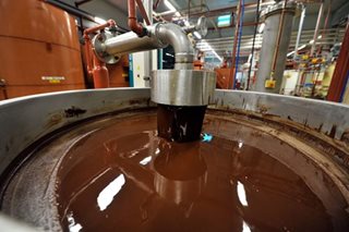 Salmonella found in world's biggest chocolate plant