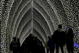Lightscape brings sparkle to Brooklyn Botanic Garden