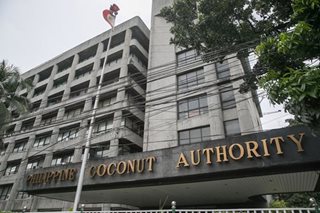 Duterte OKs creation of dev't plan for coco levy farmers