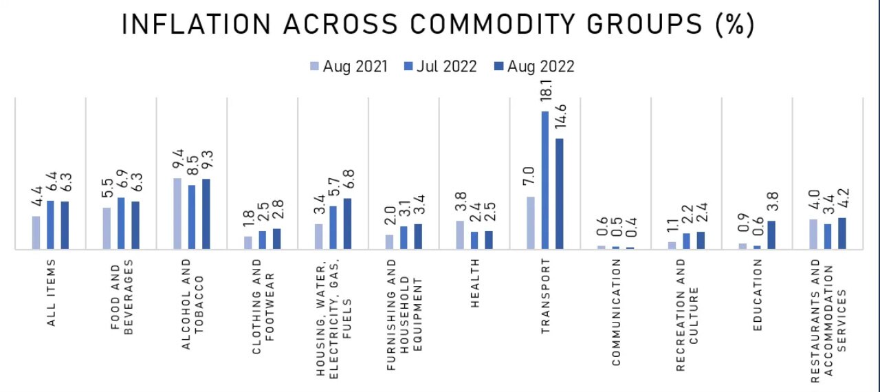 Inflation across commodity groups. Chart: ABS-CBN Data Analytics