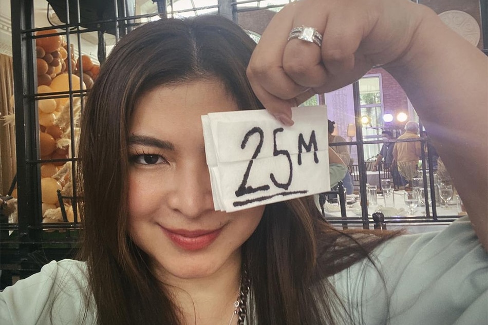 Angel Locsin Now Has 25 Million Facebook Followers | ABS-CBN News