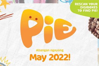 PIE channel to reach 11M TV households starting May