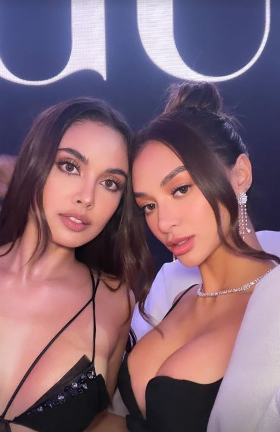 Screengrab from Instagram Stories: @kylieverzosa