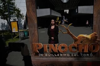 Despite 'Pinocchio' success, del Toro fears for Mexican cinema