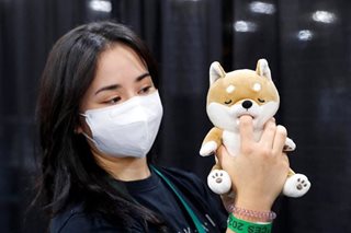 Nibbling cats and Covid masks: First look at CES tech show