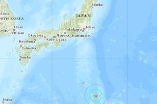 M6.1 quake hits south of Tokyo