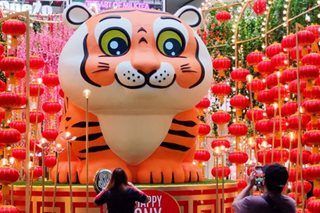Aling animal signs ang suwerte, malas sa Year of the Tiger? 