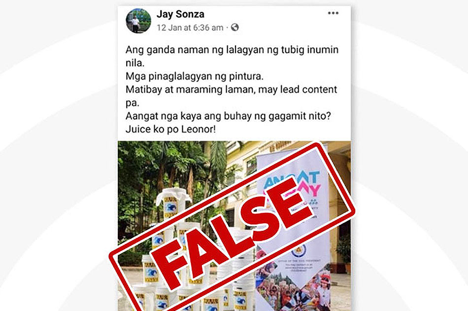 Fact Check Hindi Pinaglagyan Ng Pintura Ang Mga Timbang Ipinamigay Ni Robredo Abs Cbn News 