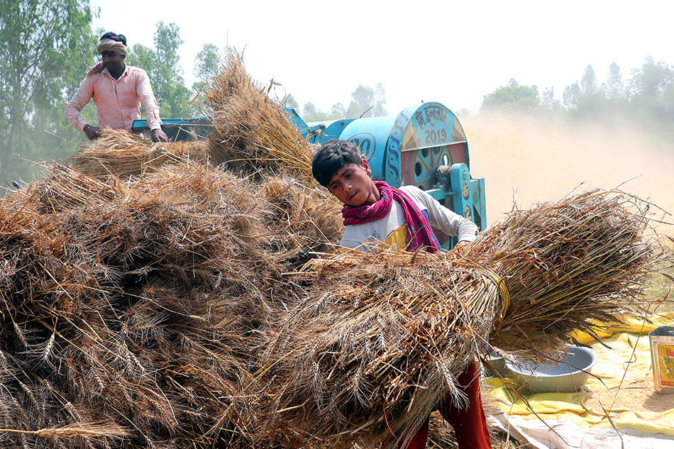 Indian farmers EPA-EFE