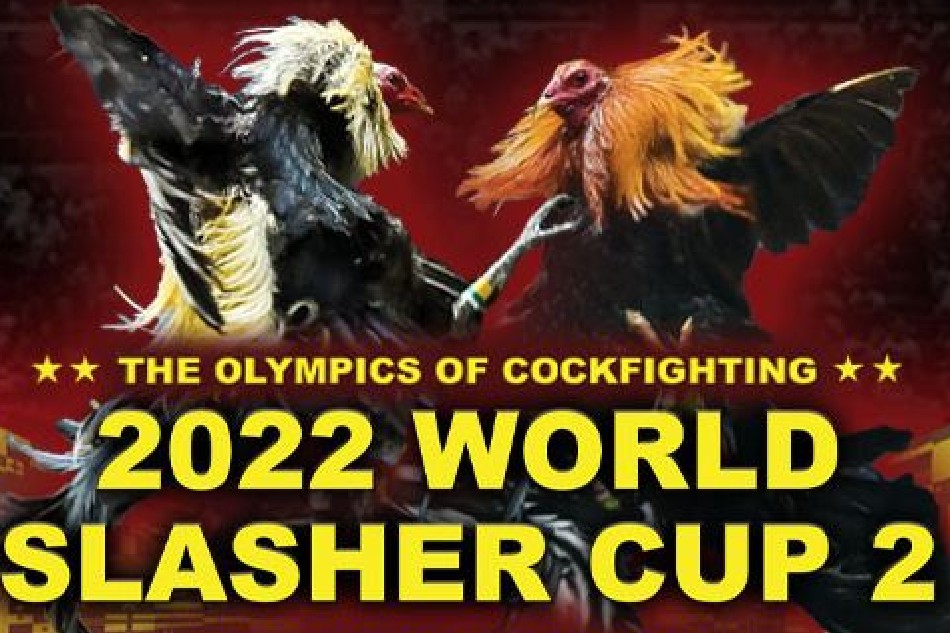 2 Entries Share 2022 World Slasher Cup 2 Title | ABS-CBN News