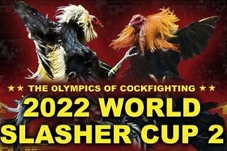 2022 World Slasher Cup returns for second leg