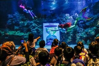 Kuala Lumpur celebrates World Ocean Day