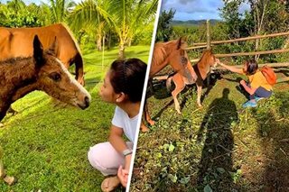 WATCH: Matteo shares glimpse of Sarah G’s ‘connection’ to animals