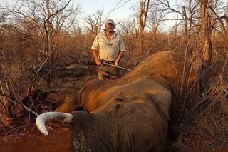 Wildlife trophy hunter shot dead in South Africa