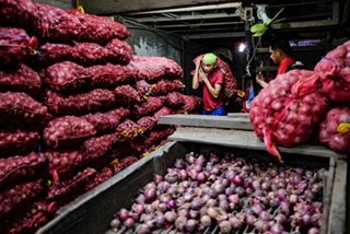Agri says seeking to help farmers reduce onion prices