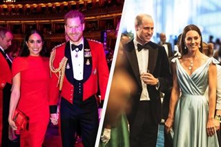 Princes William and Harry estranged decades after mom Diana's death