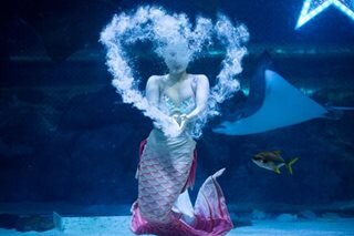 Mermaid performs ahead of Chuseok