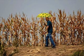 China logs hottest August 
