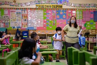 Pay hike for public school teachers may lead to private school closures: Sara