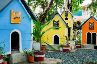 Pasig community builds cat village for strays