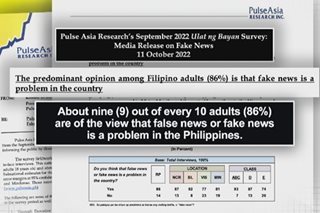 9 sa 10 Pinoy naniniwalang problema ang 'fake news': survey