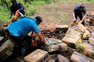 Over 2 tons of white onions seized in Zamboanga City