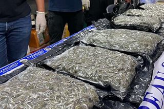 Customs seizes P4.4-M worth of marijuana declared as fishing net