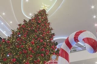 TINGNAN: Mga naglalakihang Christmas tree