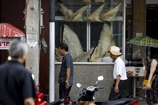 Shark fin hunters in the soup as summit takes action