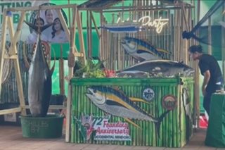 Tuna industry sa Occidental Mindoro, patuloy na lumalago