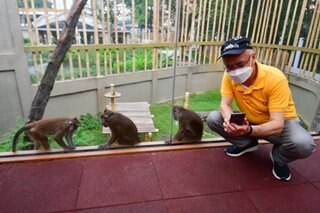 Manila Zoo reopens