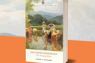 Penguin releases English version of 'Ibong Mandaragit'