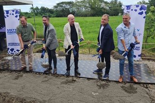 Metro Pacific milks cows, to open P2-billion farm