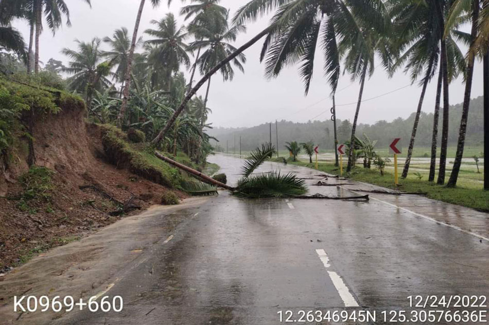 Photo courtesy of DPWH-8 ]