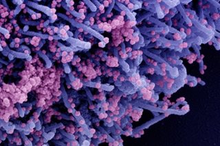 US Senate bill to sanction Chinese officials blocking coronavirus origins probe
