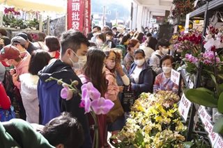 Thousands flock to popular HK flower market; Lunar New Year fairs canceled