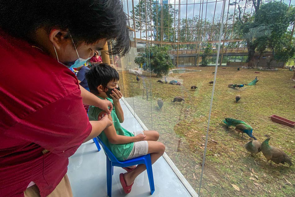 Health workers from the Manila Health Department (MHD) administer COVID-19 vaccines to minors and senior citizens at the Manila Zoo on January 19, 2021. Jonathan Cellona, ABS-CBN News