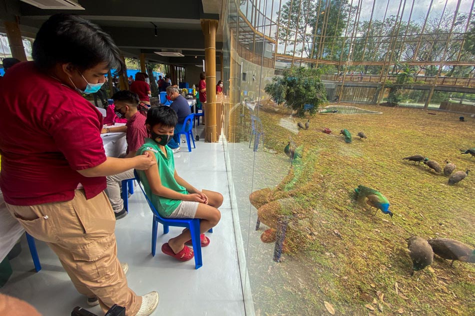 Minors and senior residents receive their COVID-19 vaccine at the newly renovated Manila Zoo on January 19, 2022. Jonathan Cellona, ABS-CBN News