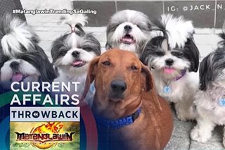 THROWBACK: Meet Jack and the Balbons