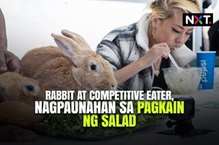 Rabbit at competitive eater, nagpaunahan sa pagkain ng salad 