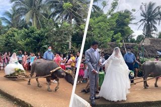 Mga kalabaw nagsilbing bridal service sa Sorsogon