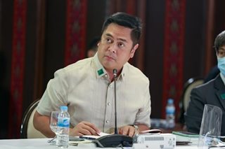 Palace: Andanar appointed as acting spox