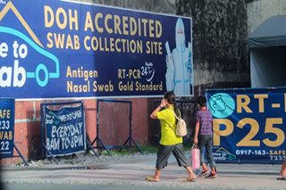 WHO urges countries to continue COVID testing, surveillance