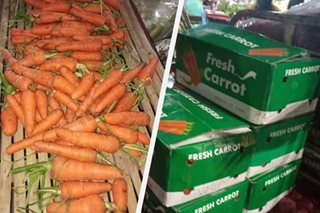 Customs cooperating with DA to tackle agri-smuggling 