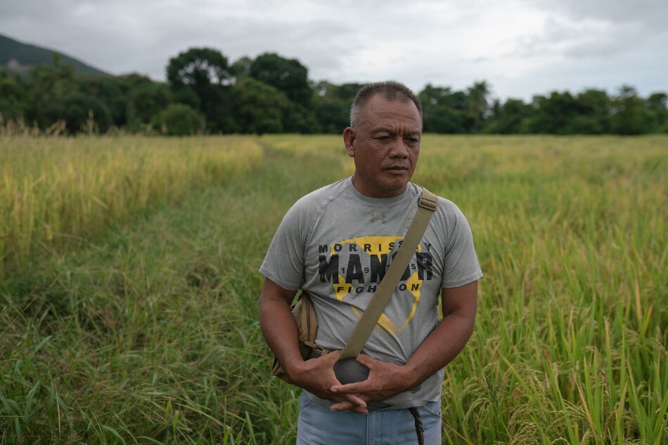  Farmer-leader Teofilo Tredez stands in the middle of a rice field in the village of Calategas in Narra town, the rice granary of Palawan. Image by Kimberly dela Cruz, Palawan, 2021