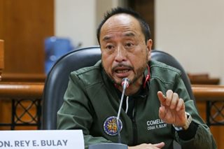 Bulay: Arrest of Comelec critics a 'warning,' not a 'threat'